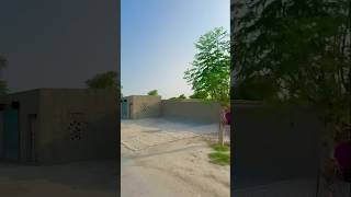 India’s Hidden Village Beauty Will Leave You Speechless! 🌸✨"#shorts