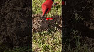 If I had a nickel for every… #metaldetecting #metaldetector #pulltabs