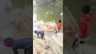 😂😂very very funny boys🤣🤣what a miracle 🤣🤣🤣🤣
