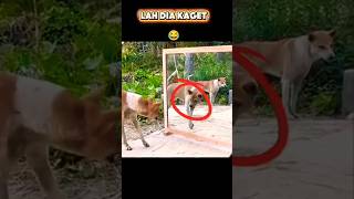 Try Not To Laugh pt 442 🤣 #guptajiofficial #shorts #funny #viral