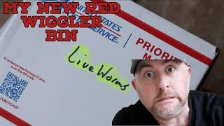 How to Set Up a RED WIGGLER Worm Bin.
