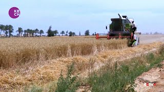 Rising costs dent South Africa's agribusiness confidence