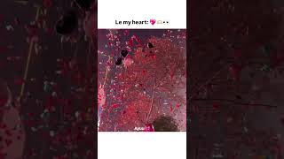 My heart 💗#shortshorts #love #couplestatus #ytshorts #youtubeshorts #myheart #loyal