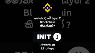 මොනවද මේ Blockchain එකේ  Layer 1 , layer 2 කියන්නේ ?| Initia interwoven rollups - Binance
