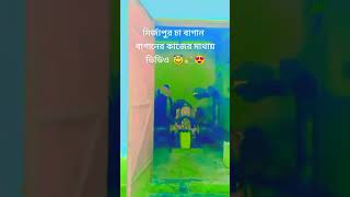 #l #partymusic #nature #ca baganear gan#