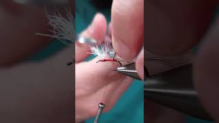 The classic royal wulff #flytying #fishing #flytyingmaterials  #royalwulff