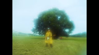 Mom / 猫が飼いたい