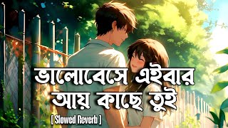 ভালোবেসে এইবার আয় কাছে তুই | Valobese Eibar Ay Kache Tui Slowed Reverb | Bangla Song | RM Music Flow