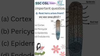 ssc exam imp questions and answers || #ssc #biology