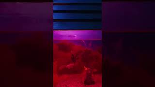 Night Fun Time  #reels #shorts #night #fun