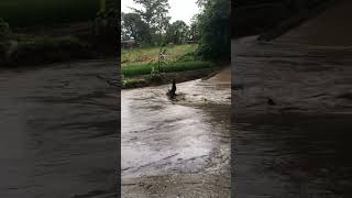 Ganito sa amin pagkatapos ng ulan