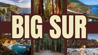 Discovering Big Sur's Natural Wonders