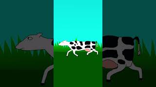 Cow | 🐄 | Toon Boom Harmony Animation