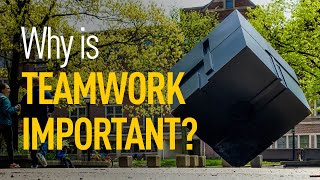 What Entrepreneurs Need to Know: Why is Teamwork Important?