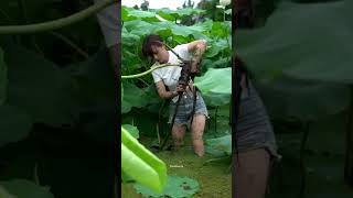 The Hidden Treasures of Lotus Farming