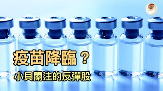 疫苗降臨？小貝關注的反彈股｜小貝理財 EP27