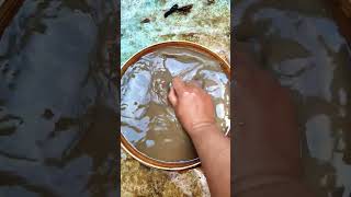 What We Never Became #shorts #feedshorts #subscribe