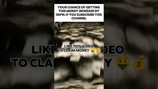 #birdtrend #petshub #heenaprajapati