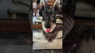 French Brocantes: where the past finds new life.