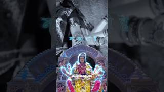 05/15 Navratri❤️ #chhindwaradiary #navratrispecial #navratri #navratrisong #garba #garbadance #short