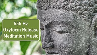 555 Hz Oxytocin Release Meditation Music | 9 Solfeggio Frequencies