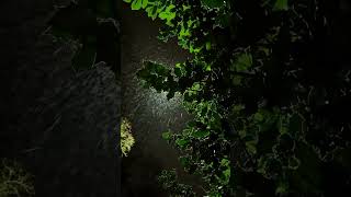 the sound of rain is good for relaxing sleep