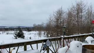 Farm in Newport NY 1/2025