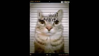 Please don’t say Goodbye