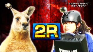 カングー君とのスリリングな対決！中岡の挑戦