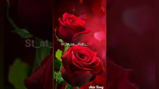Malayalam song status video for WhatsApp Status video for WhatsApp messenger