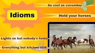 Hold your horses || idioms ||  #idioms #importantidioms #ppsc