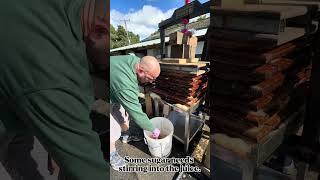 More cider apple are ready to be picked - best get cider making again.