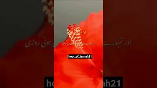 Qur'an recitation ❤️🥀.. Sukoon ❤️🥀🌙..   #quranrecitation #quran #viral #shorts #viralvideo #sukoon❤️