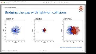 Recent results from light-ion collisions by ALICE at the LHC