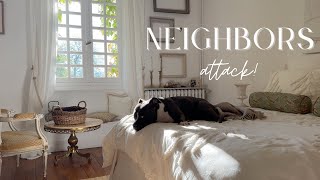 We visit a new antique / thrift shop! | What happened?!