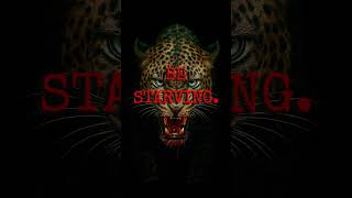 Stay starving. #beastmode #predator #discipline