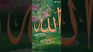 11 January 2024#bdtiktok🇧🇩bangladesh🇧🇩 #foryourpage #foryou @TikTok Bangladesh