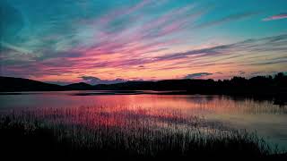 Calming Nighttime Marshland Summer Ambience for Deep Sleep and Meditation / 8 Hours