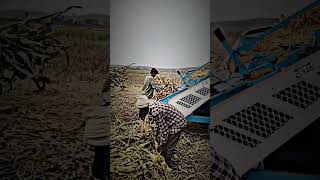 Threshing🌽 #makkaontop #villagelife #desikisan