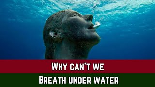 why can't we breath in under water 💦😭 | water breath | Science videos