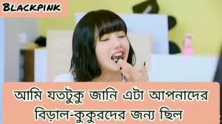 💜Black-pink Bangla dubbing💜#pretty Blink-pink #shorts