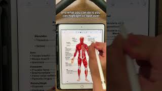 This is a GAME CHANGER for studying with Active Recall! 🤯📚👩🏻‍⚕️ #activerecall #medicine #studyhacks