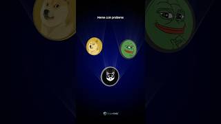 This is the biggest problem with Meme Coins #shibainu #dogecoin #shibaarmy