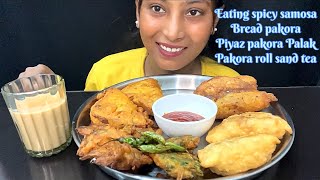 BIGBITE | EATING SPICY 🔥SAMOSA,BREAD PAKODA,PIYAZ KE PAKODE,PALAK PAKODA,ROLL | MUKBANG EATING SHOW