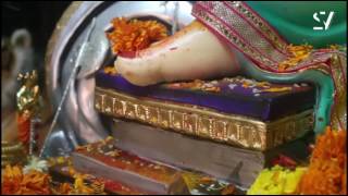 बालवीर सार्वजनिक गणेशोत्सव मंडळ परळ गांव..२०१६