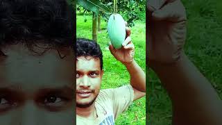 #short #shorts #youtubeshorts #ytshorts #viralshort #viralshorts #viralshortvideotiktok #vlog