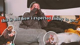 緊急獣医を自発的に訪問する