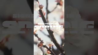 This is what spring feels like! #intentionalliving #creativeideas #creativeseasons