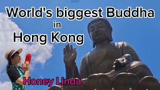 香港にある世界最大の仏像（天壇大仏）