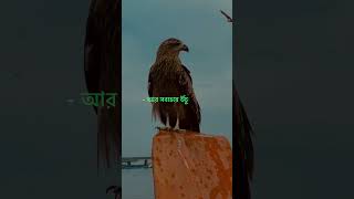- 𝐓𝐡𝐞 𝐩𝐨𝐰𝐞𝐫 𝐨𝐟 𝐬𝐢𝐥𝐞𝐧𝐜𝐞 | #shortvideo #motivationalquotes8